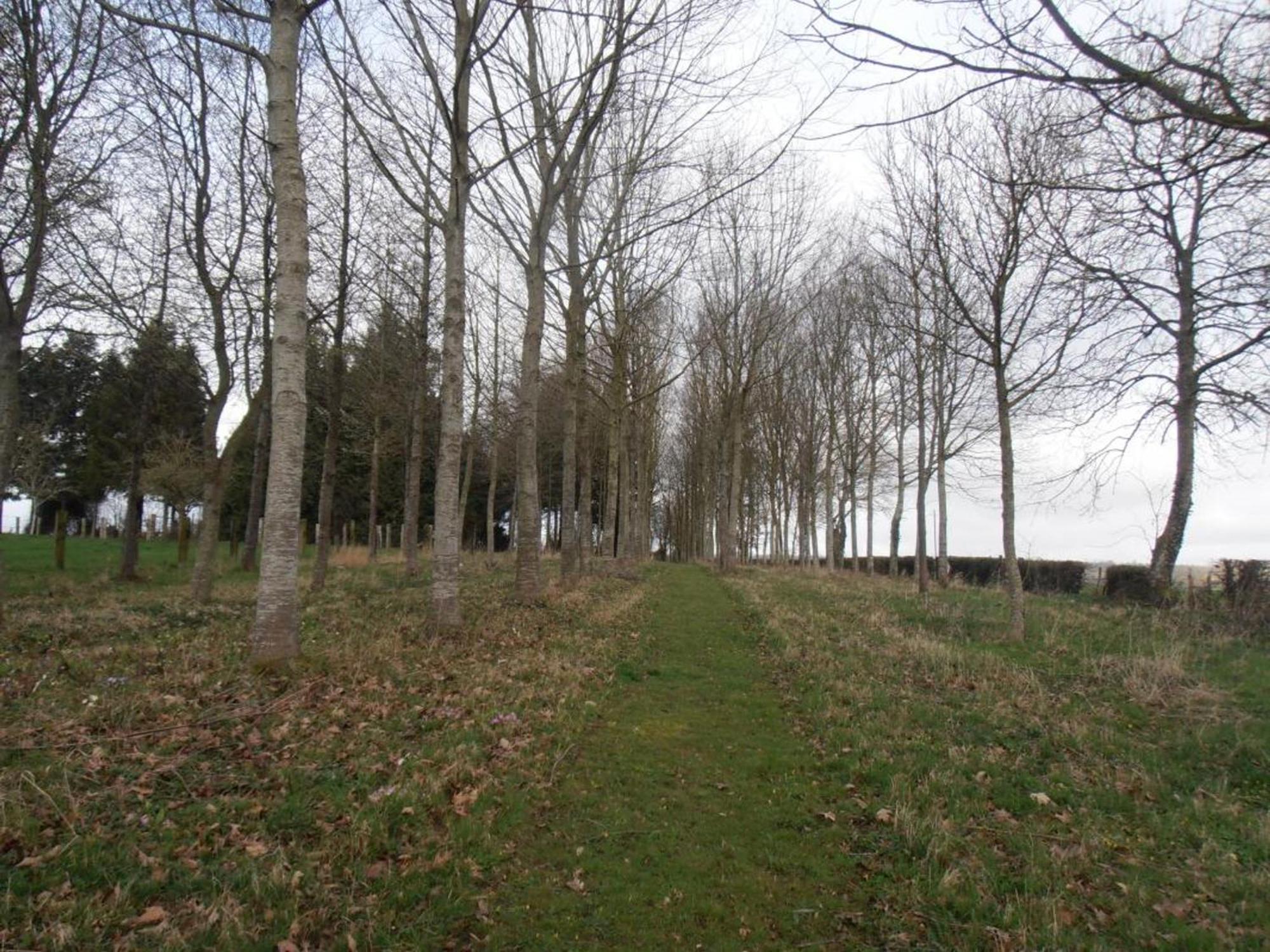 Maison De Charme Avec Grand Jardin, Proche Haras Du Pin, Animaux Acceptes, Ideale Pour Familles - Fr-1-497-5 Saint-Pierre-la-Riviere 外观 照片