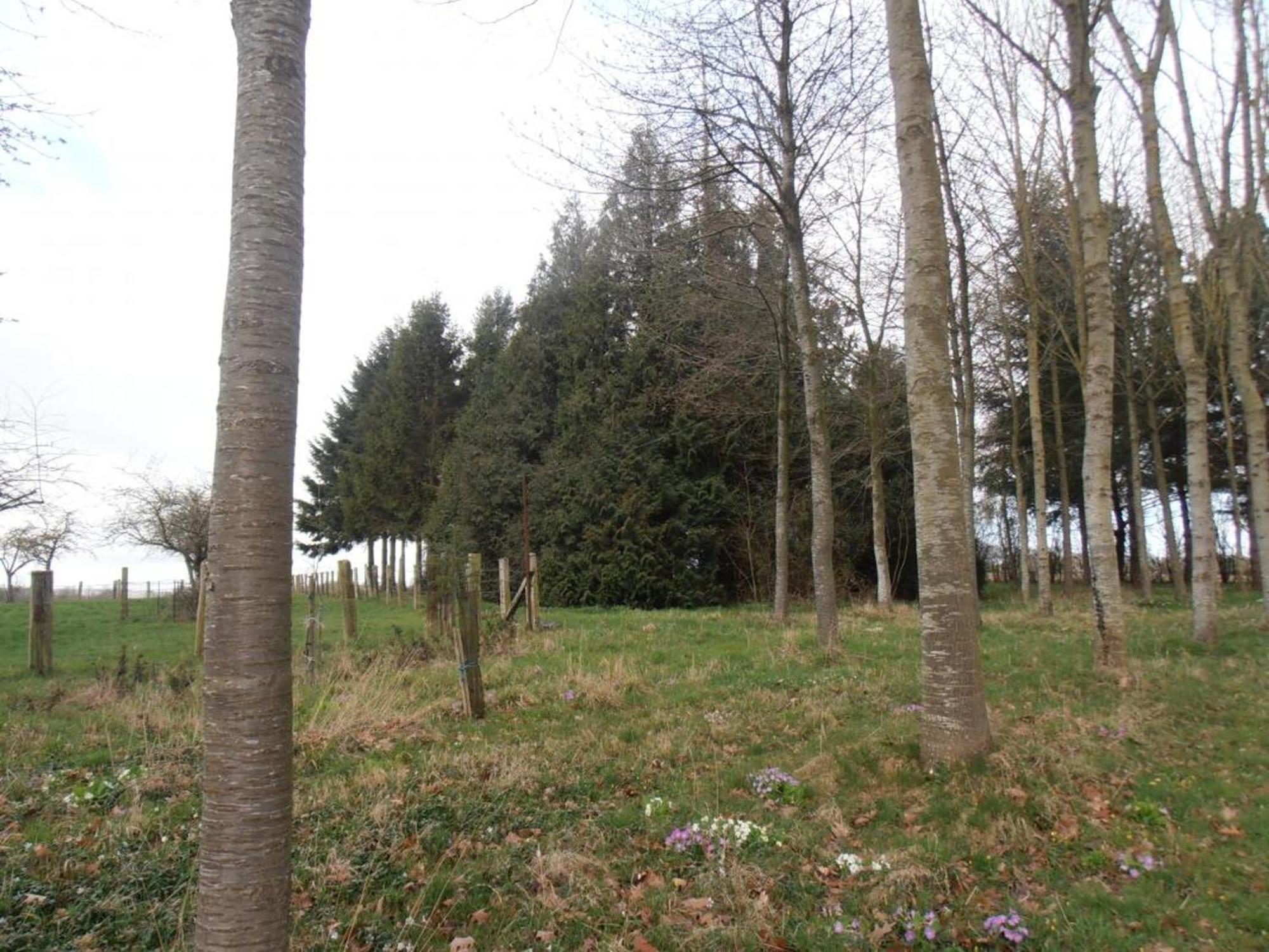 Maison De Charme Avec Grand Jardin, Proche Haras Du Pin, Animaux Acceptes, Ideale Pour Familles - Fr-1-497-5 Saint-Pierre-la-Riviere 外观 照片